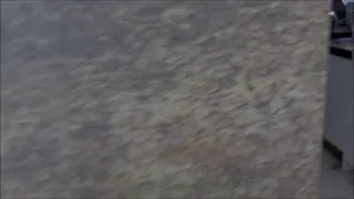 Alina Angel Anal Temptation Onlyfans Leak 2026