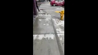 Alexis Fawx BJ and Hardcore Sex Onlyfans Leak 2026