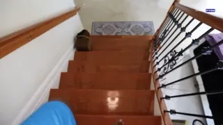 Lilibet Saunders Roommate Seduction OnlyFans Leak 2026