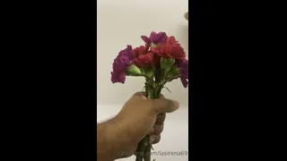 La Sirena Blowjob And Titjob POV Onlyfans Leak 2026