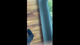 AmbsOfficialXO Rides BBC In Front Of Clear Windows Onlyfans Leak 2026